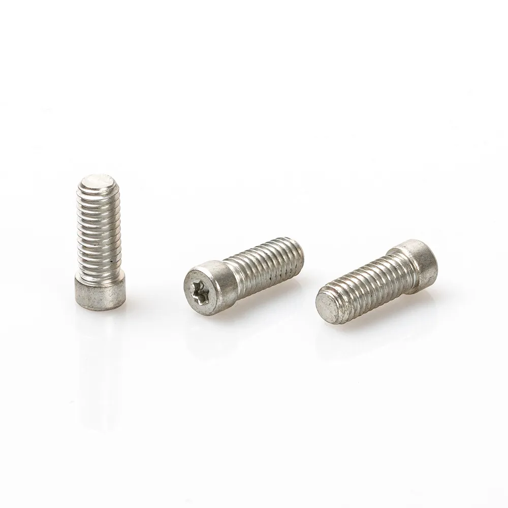 Torx Screws with Nylon Patch Anti-Tamper & Anti-Loose Furniture